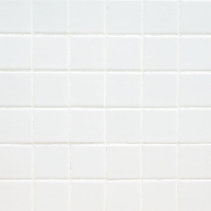 MSI Surfaces Domino White Ceramic Tile