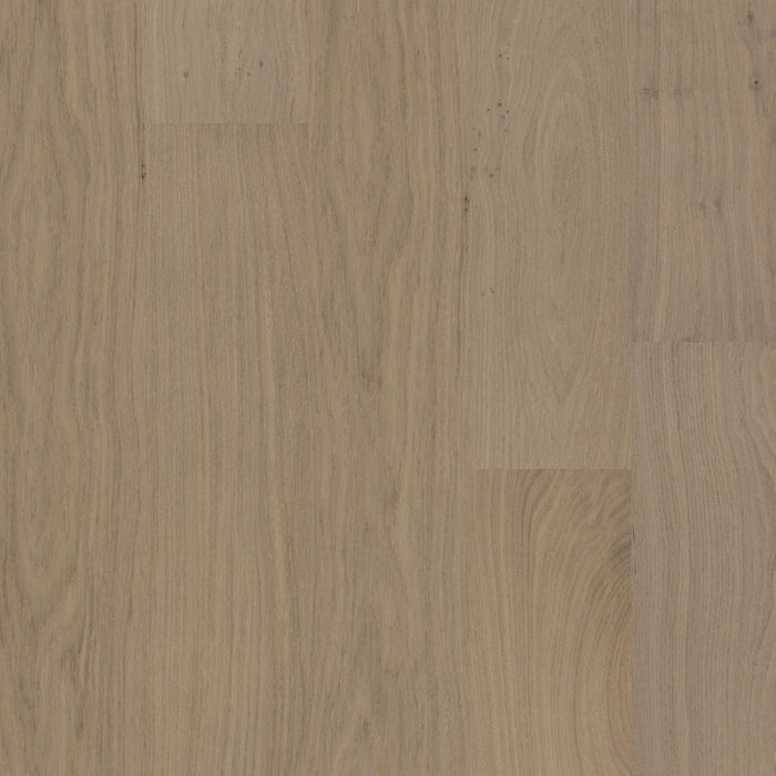 Biyork Floors Nouveau 8 European Oak Salted Biscotti 8 1/2" Engineered Hardwood