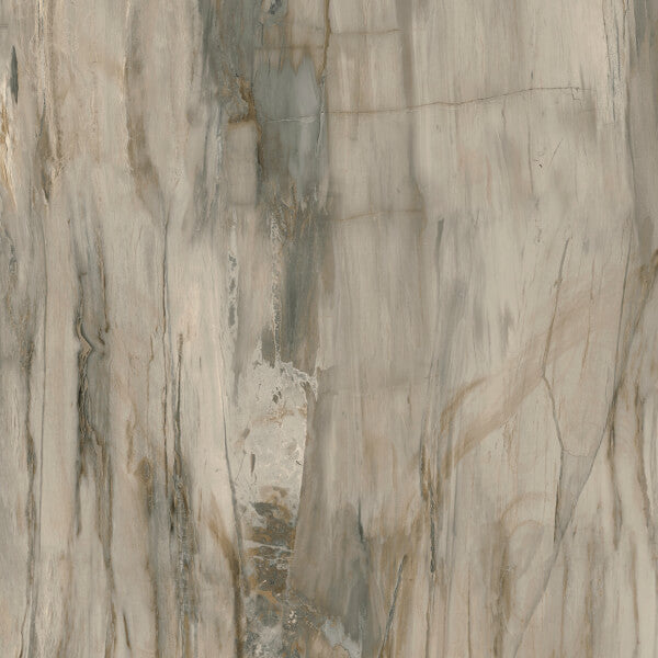 Midgley West Petrified Wood Natural Porcelain Tile