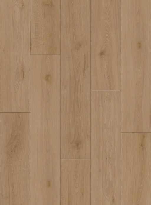 Canadian Standard Lumi Evion 9 waterproof WPC vinyl flooring featuring wide wood-look planks with realistic natural grain detailing