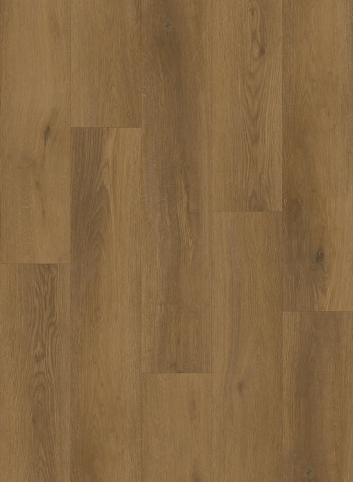 Canadian Standard Mizu Evion 9 waterproof WPC vinyl flooring featuring wide wood-look planks with realistic natural grain detailing