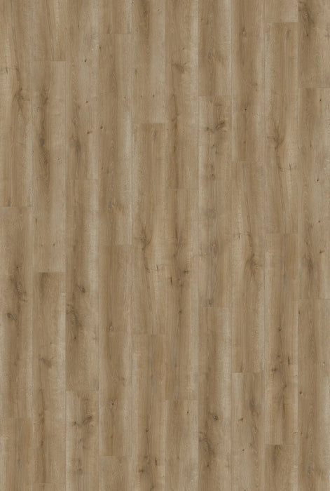 Canadian Standard SONO Eclipse Canim Oak 5.5mm flooring featuring 8-inch wide planks with natural oak-look grain detailing plank overview