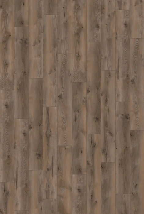 Canadian Standard SONO Eclipse Coffee Oak 5.5mm flooring featuring 8-inch wide wood-look planks with oak-inspired grain plank overview