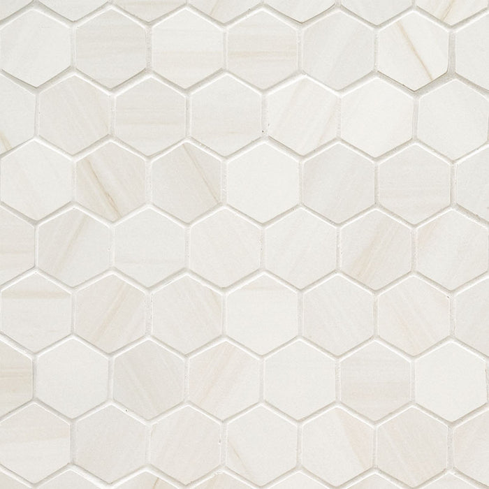 MSI Surfaces Eden Dolomite 2" x 2" Hexagon Matte Porcelain Mosaic