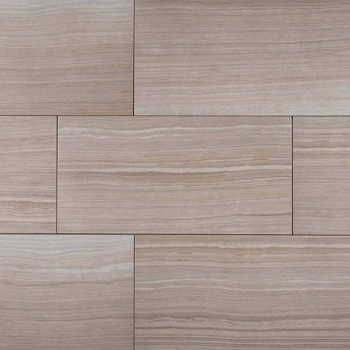 MSI Surfaces Eramosa Silver Porcelain Tile