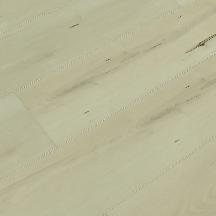 Toucan Belgrade SPC6 European Collection waterproof luxury vinyl flooring detail closeup