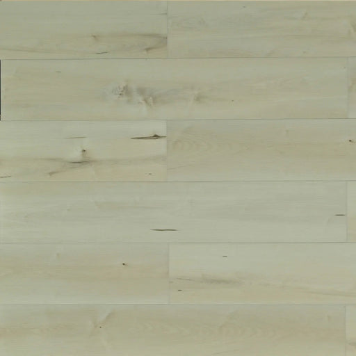 Toucan Belgrade SPC6 European Collection waterproof luxury vinyl flooring