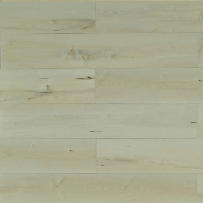 Toucan Belgrade SPC6 European Collection waterproof luxury vinyl flooring