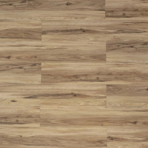 Toucan Birch Whisper SPC86 Whispers of Canada waterproof luxury vinyl flooring