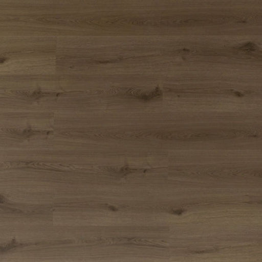 Toucan Harvest Amber SPC86 Whispers of Canada waterproof luxury vinyl flooring