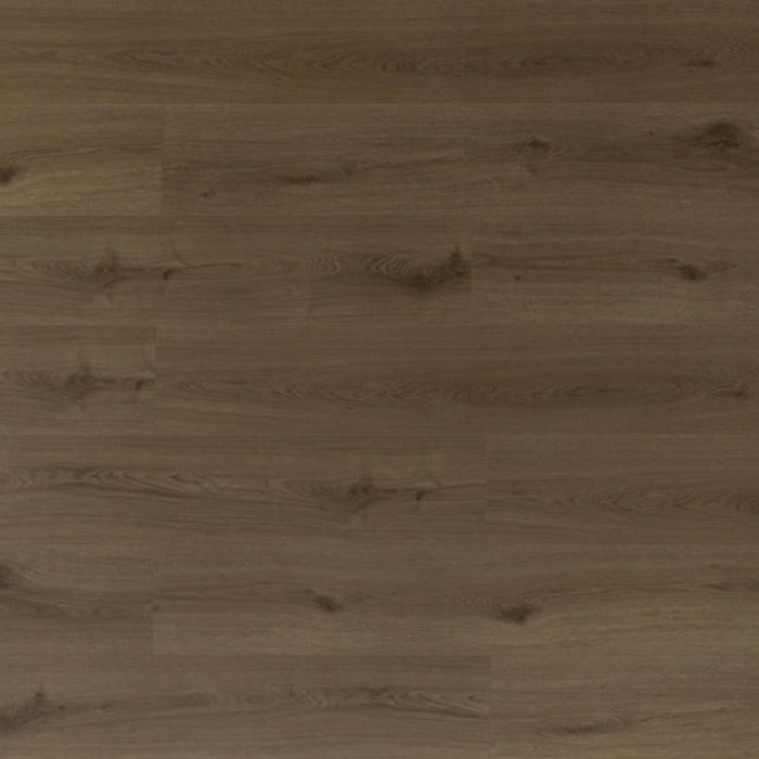 Toucan Harvest Amber SPC86 Whispers of Canada waterproof luxury vinyl flooring