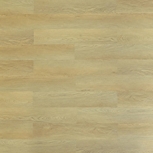 Toucan Kennebunkport SPC7 waterproof luxury vinyl flooring