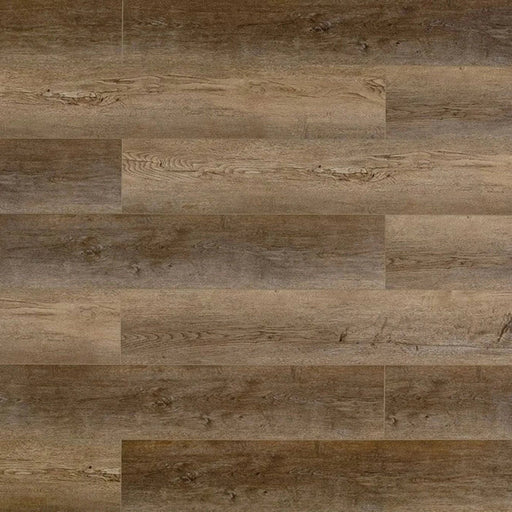 Toucan Teddy Bear SPC4 — Cork Backing waterproof luxury vinyl flooring