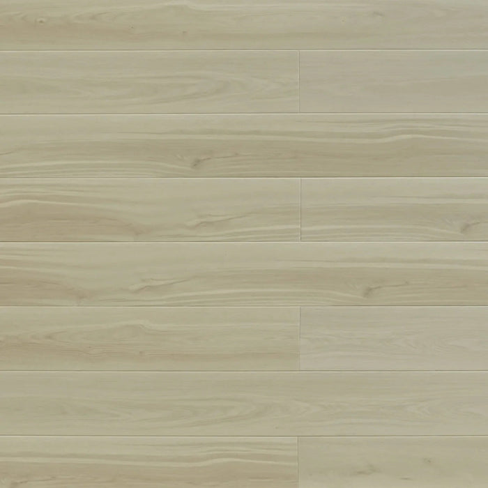 Toucan Windstorm SPC9 waterproof luxury vinyl flooring