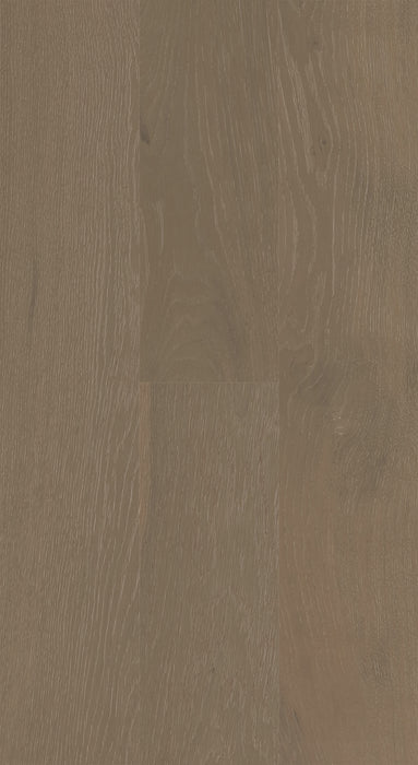 Biyork Floors Nouveau 6 Clic European Oaker Painter's White 6 1/2" Engineered Hardwood