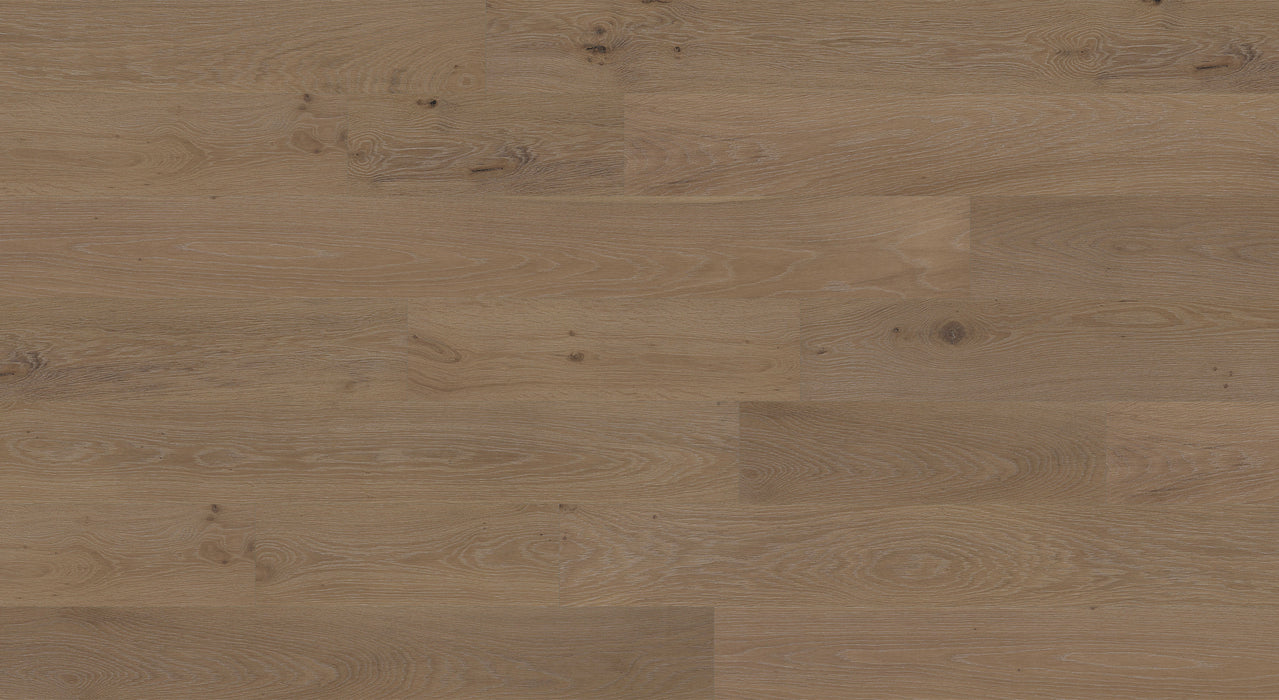 Biyork Floors Nouveau 7 Prelude European Oak Tortuga 7 1/2" Engineered Hardwood